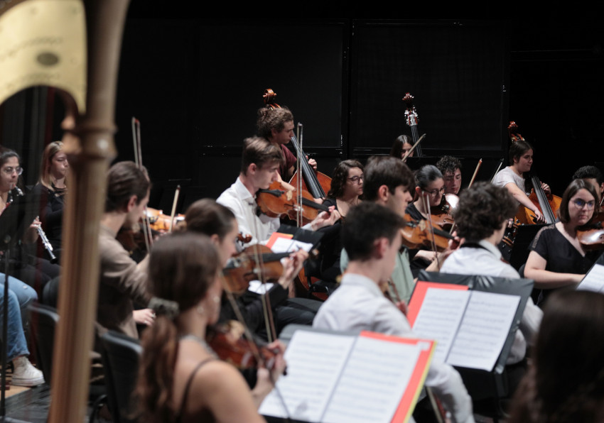 Sección de la Orquestra en un concierto.