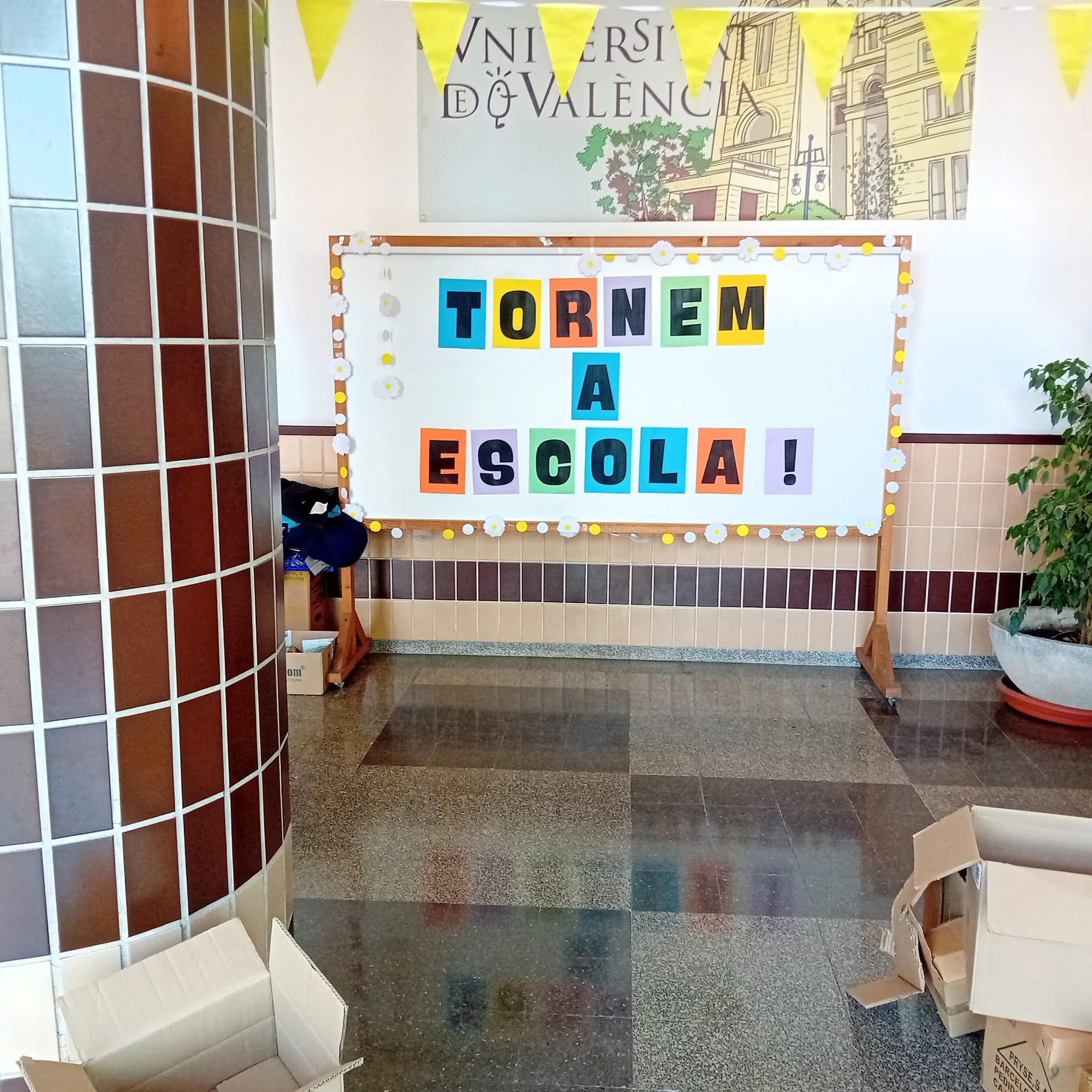 Imagen representativa de la novedad