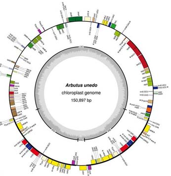 Sequencing figure.