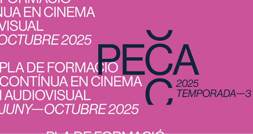 Logo PECA