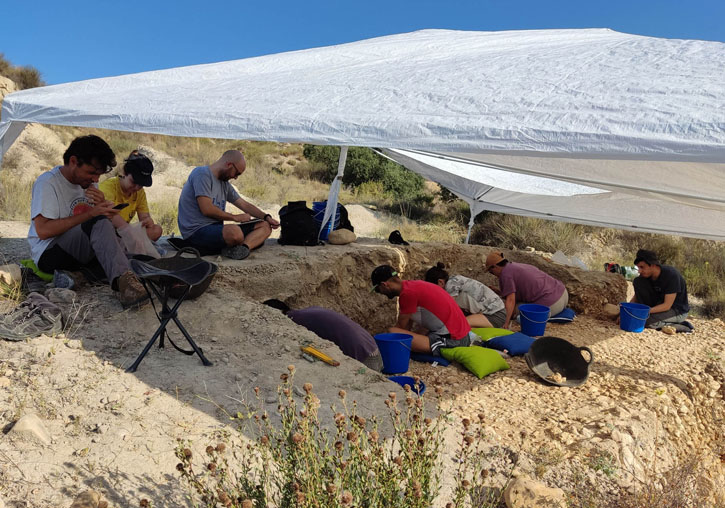 General view of the excavation of the Los Aljezares site (Aspe, Alicante) last July.