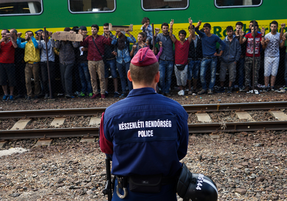Reforma del sistema europeu d'asil per a donar resposta a futures crisis migratòries