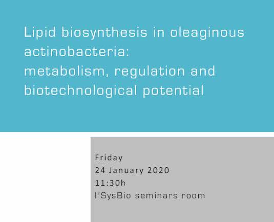 Lipid biosynthesis in oleaginous actinobacteria: metabolism, regulation and biotechnological potential