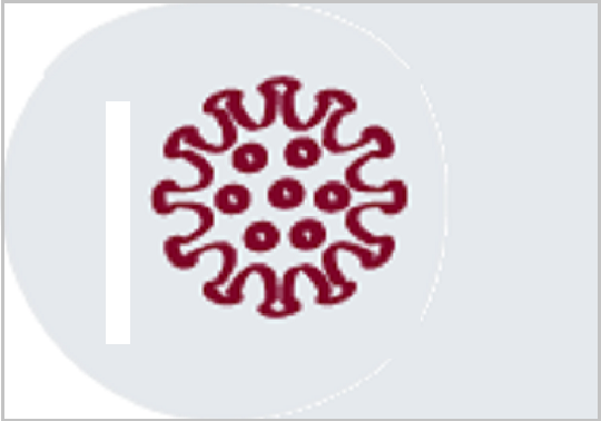 Últimes notícies sobre coronavirus COVID-19. Estudiants Outgoing