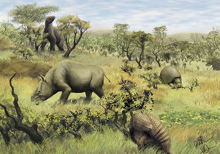 Reconstruction of the Brazilian savannah of the Pleistocene