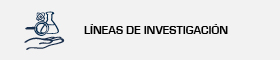 Líneas de investigación