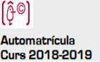 Icono automatricula