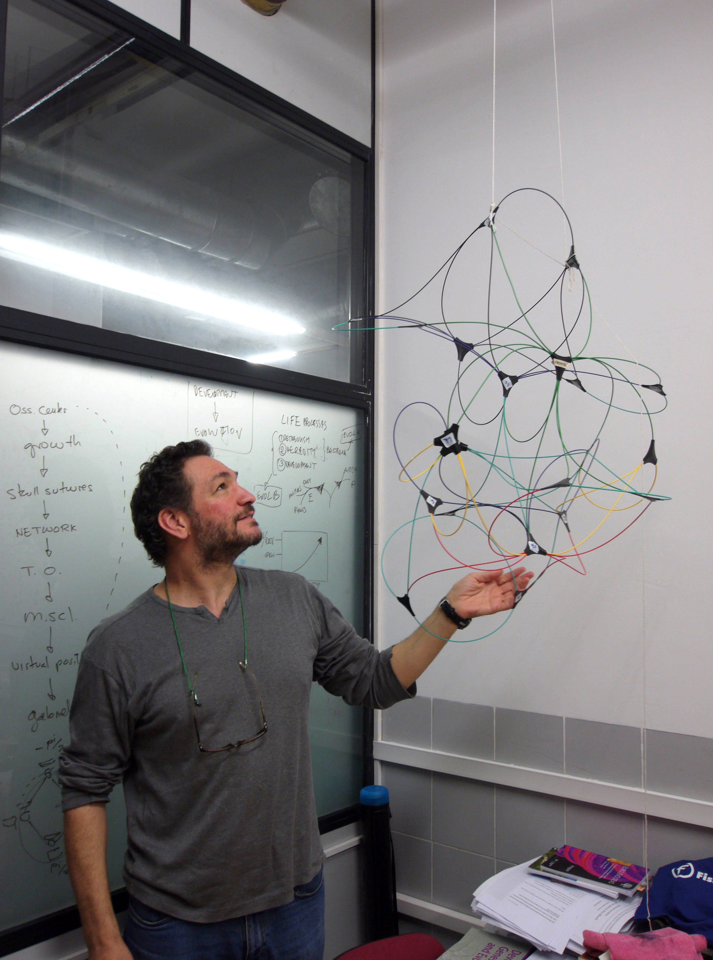 Nature Head Human Networks Diogo Nature Head Human Networks Diogo
