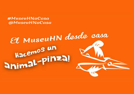 MuseuHN desde casa. ¡Hacemos un animal-pinza!