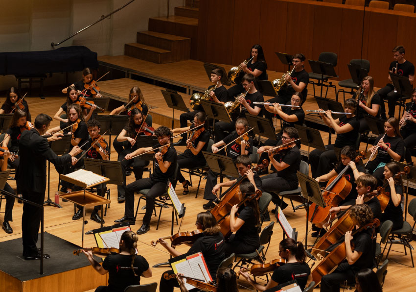 Imatge de l'Orquestra en concert