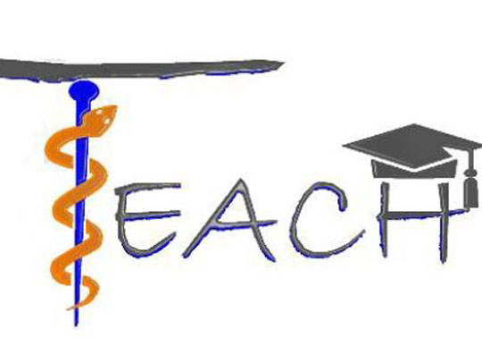 Logo del projecte TEACH.