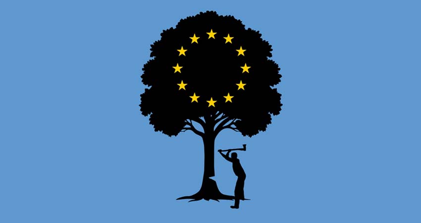 Detall de la portada del llibre. Dibuix d'un arbre i una persona talant-lo