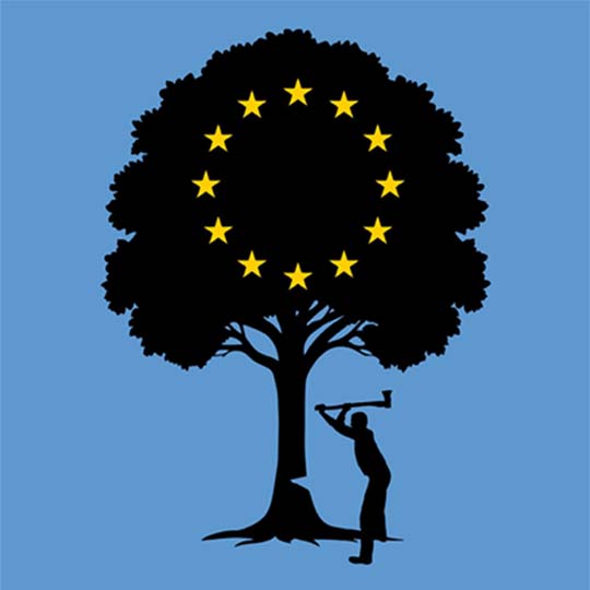 Detail of the book cover. Drawing of a tree and a person cutting it down