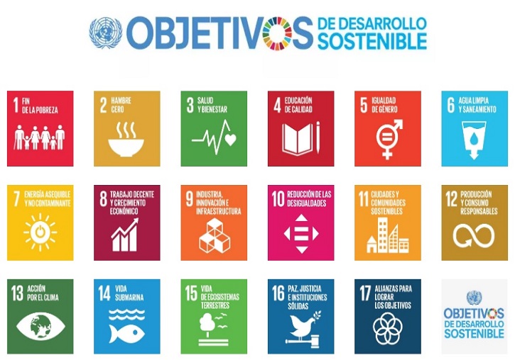 Els ODS previstos en l'Agenda 2030.