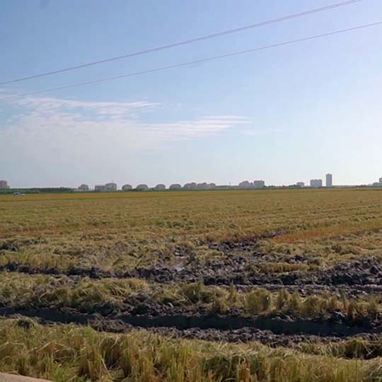 Vista paisaje de huerta