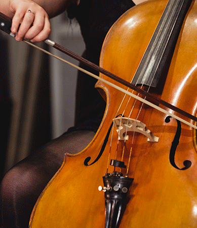 Detalle de un violonchelo