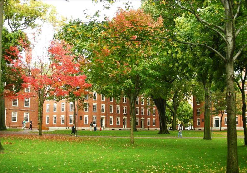 Harvard University