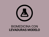 Biomedicina con levaduras modelo