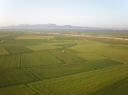 Panorámica de Sollana