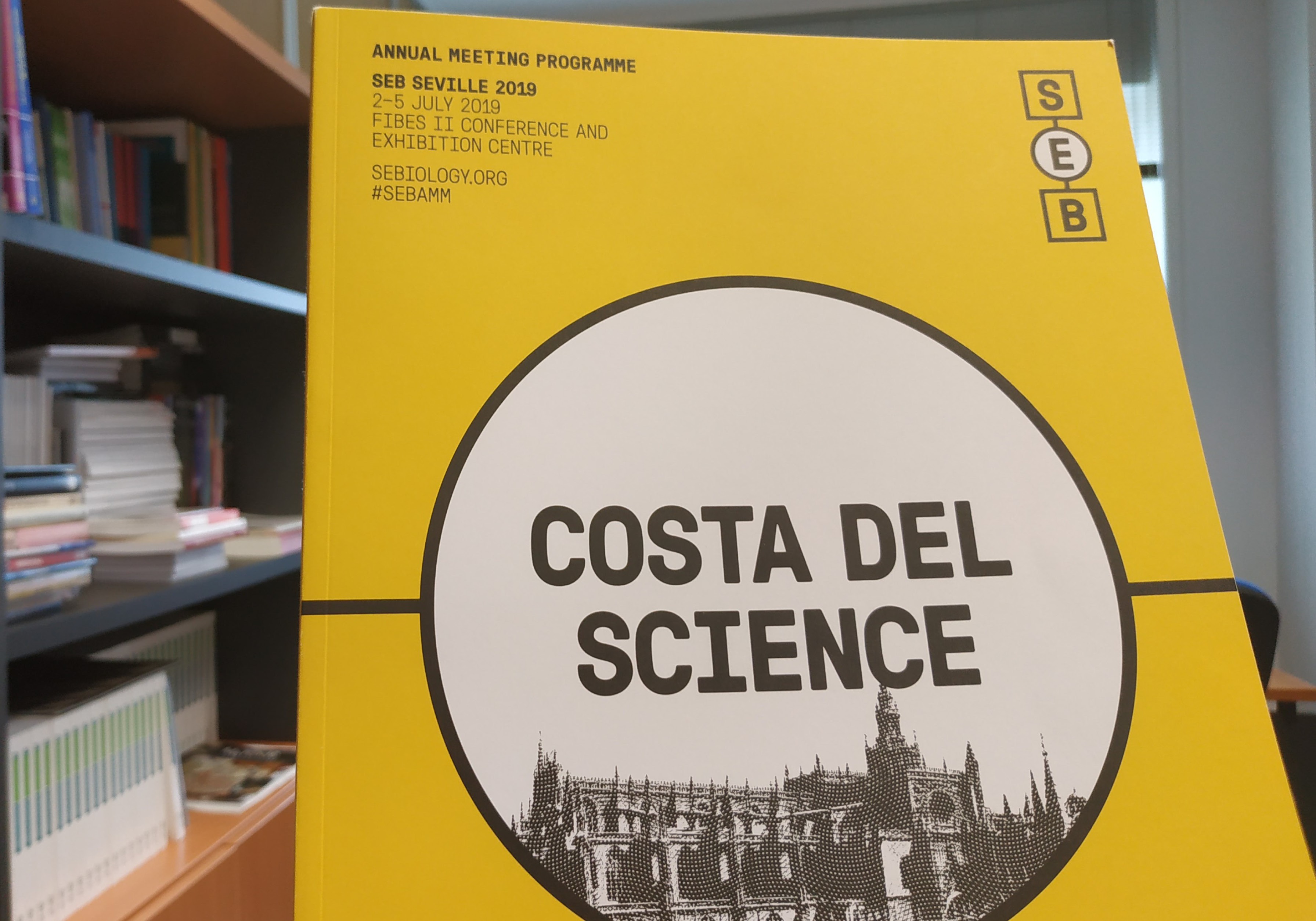 Programa SEB 2019