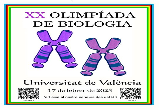 Image de la noticia