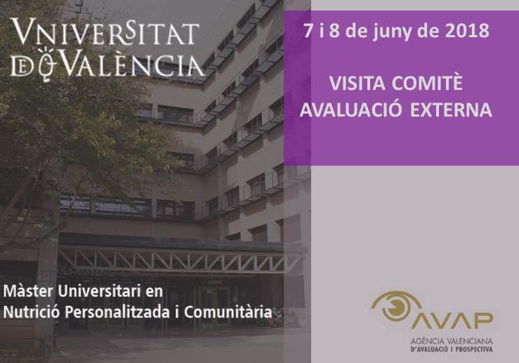 Visita comité evaluación externa