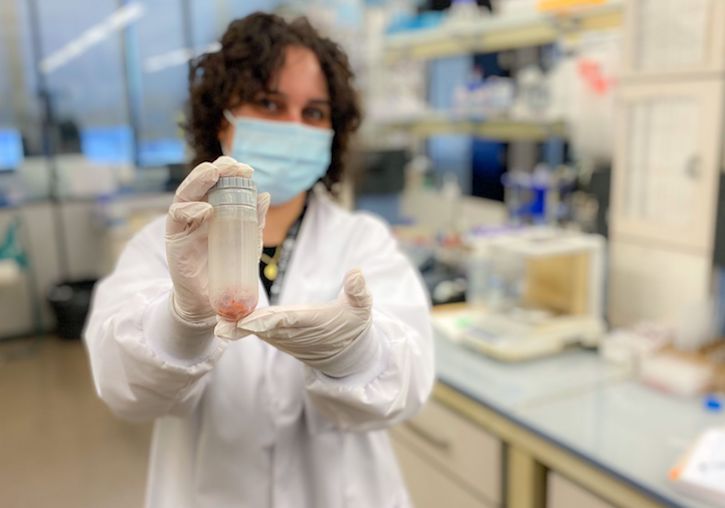 ICMol researcher Katia Caamaño holds a sample of thr MOF-based composite with antimicrobial properties