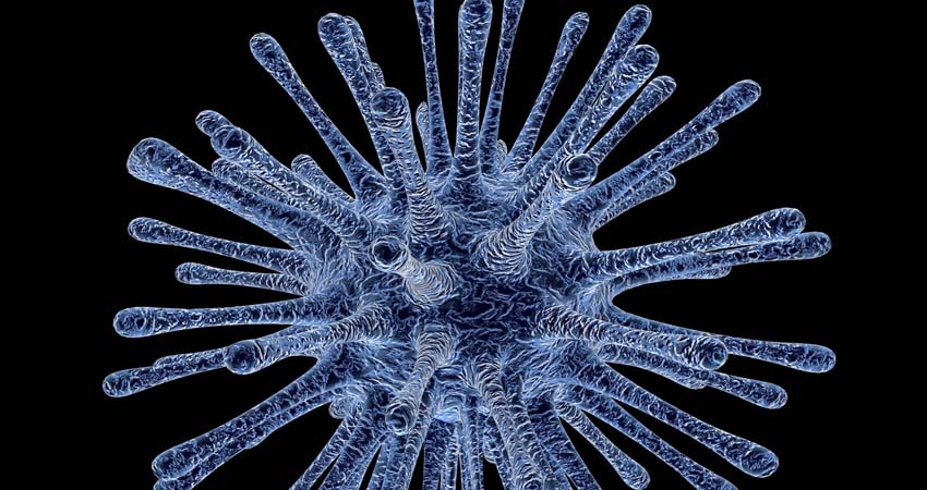 Imatge d'un virus