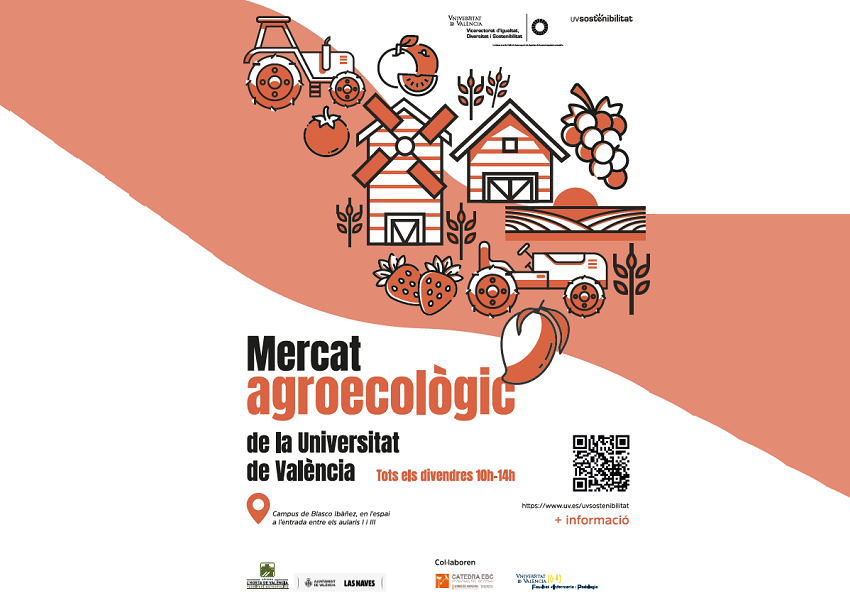 Image de la noticia