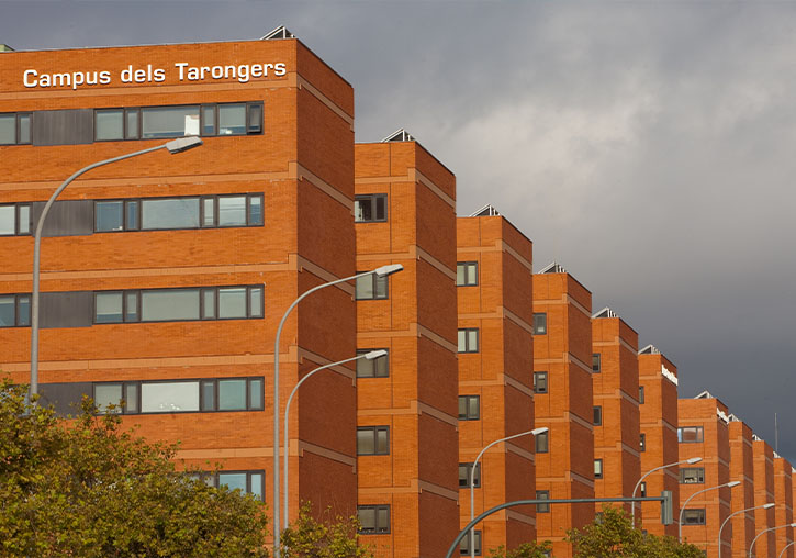 La comunitat universitària decidirà el disseny de l’enjardinament del Campus de Tarongers