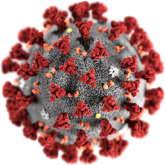 Convocatòria d'urgència de recerca en coronavirus