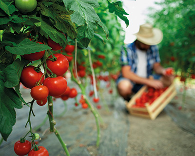 Representative picture of the project