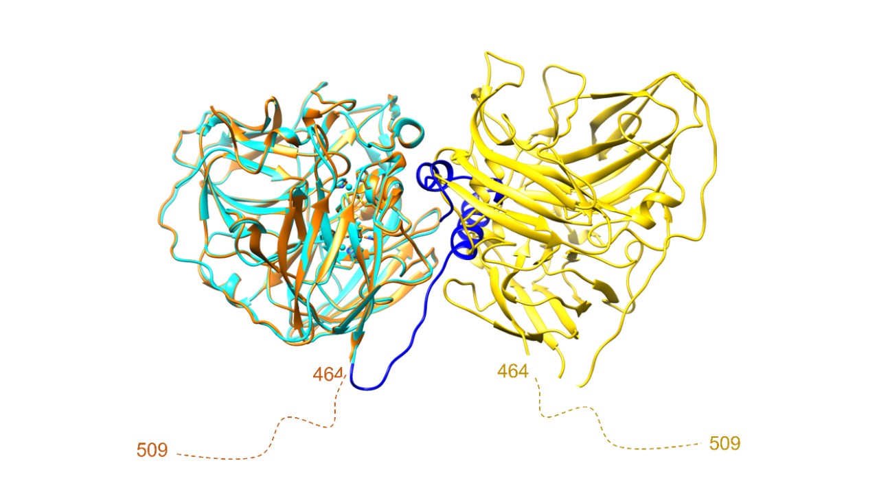 Imagen representativa del proyecto