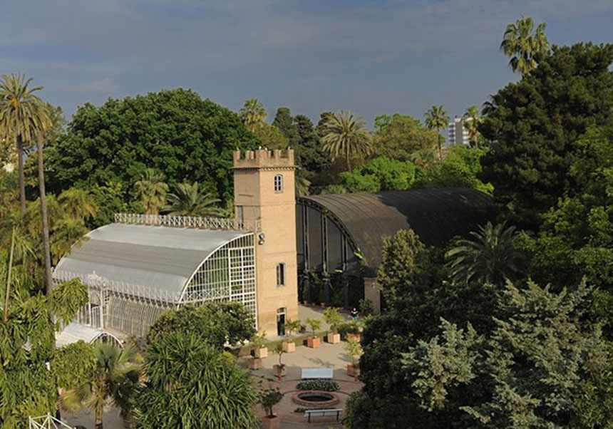 Jardín Botánico de la Universitat de València.