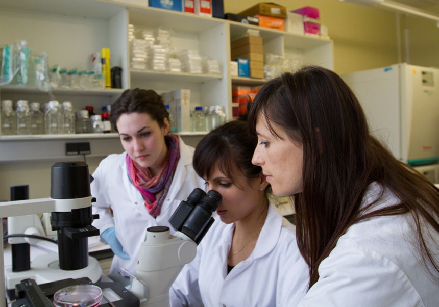 Estudiantes en el laboratorio.