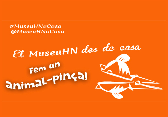 MuseuHN des de casa. Fem un animal-pinça!