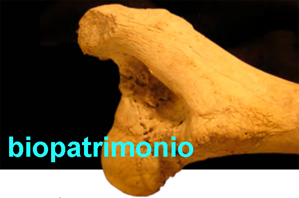 Biopatrimonio