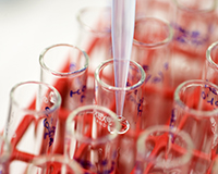 Representative picture of the project