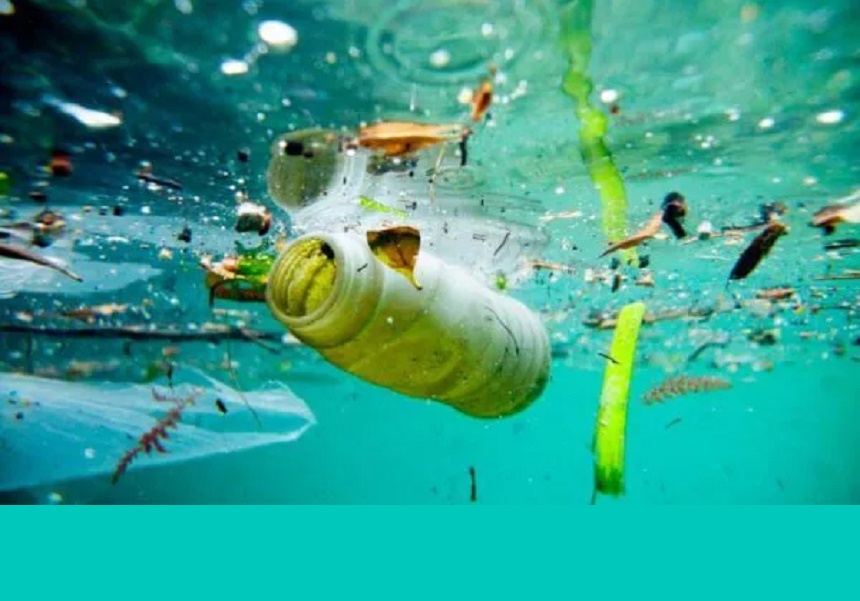 SEATRACE, un projecte sobre la contaminació marina