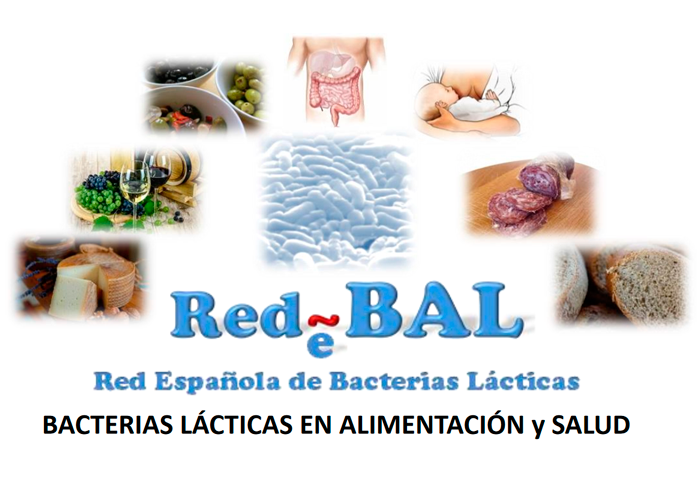 13th Meeting of the Red de Bacteras Lácticas (RedBAL)