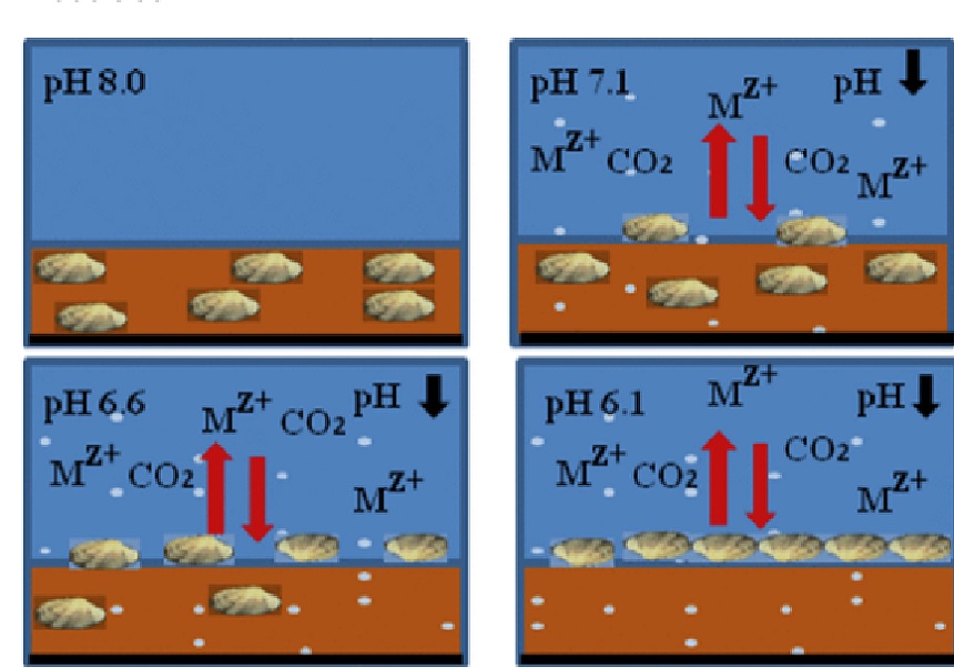 Conferencia: ‘Sediment: a key environmental compartment for assessing pollution’