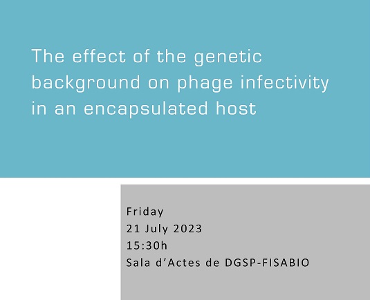 The effect of the genetic background on phage infectivity in an encapsulated host