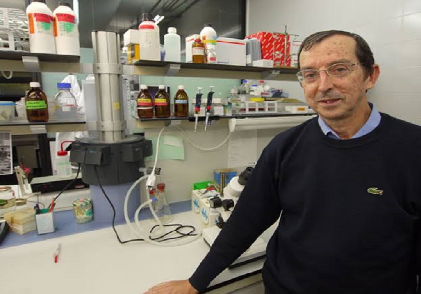 Mor José Manuel García Verdugo, referent internacional en neurogènesi adulta i professor emèrit del Màster en Neurociències Bàsiques i Aplicades