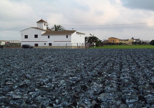 Huerta con alquería al fondo