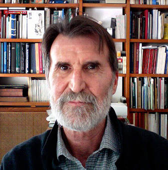 Professor Pere Pau Ripollés.