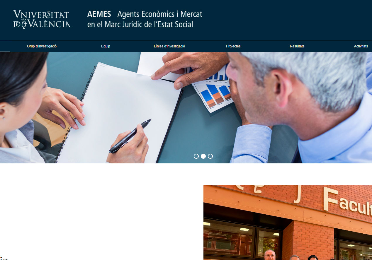 Screenshot of the new website of the investigation group AEMES