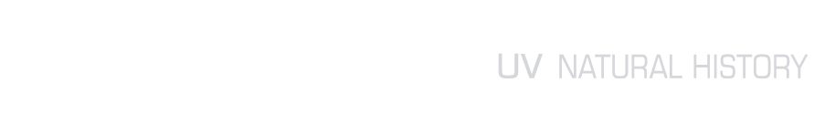 Logo del portal