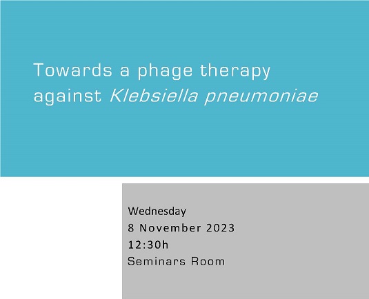 Towards a phage therapy against Klebsiella pneumoniae