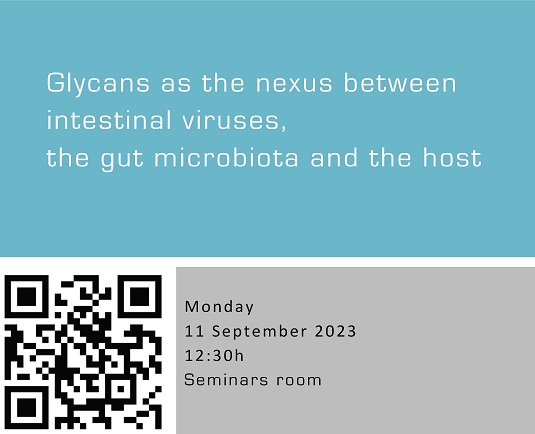 Glycans as the nexus between intestinal viruses, the gut microbiota and the host