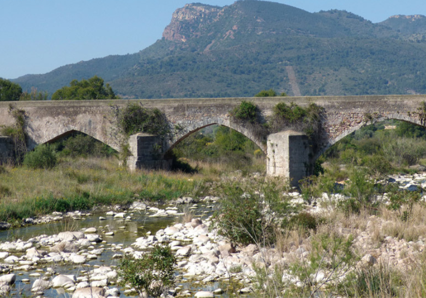 Camp de Morvedre